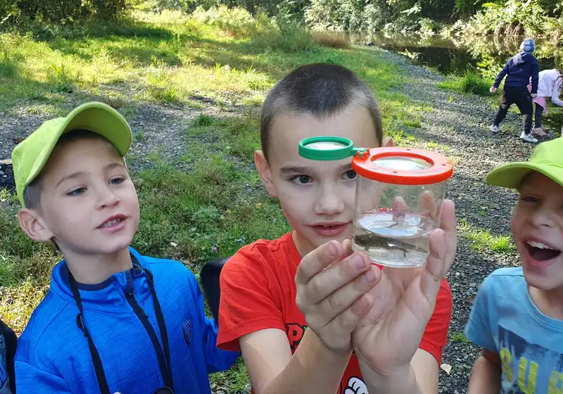 Z lavic do přírody